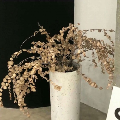 Furry二次元插画创作技巧兽圈群